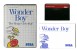 Wonder Boy - Master System