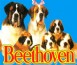 Beethoven: The Ultimate Canine Caper - SNES